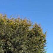 ヒメ日記 2025/11/14 09:05 投稿 じゅん 熟女デリヘル倶楽部