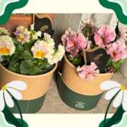 ヒメ日記 2026/01/17 09:12 投稿 じゅん 熟女デリヘル倶楽部