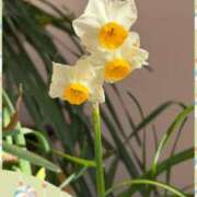 ヒメ日記 2026/01/19 09:03 投稿 じゅん 熟女デリヘル倶楽部