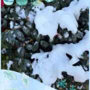 じゅん 雪 熟女デリヘル倶楽部