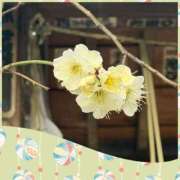 ヒメ日記 2026/02/14 09:21 投稿 じゅん 熟女デリヘル倶楽部