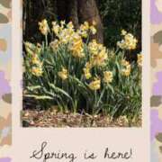 じゅん 水仙 熟女デリヘル倶楽部