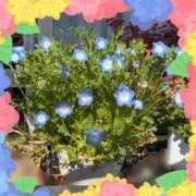 じゅん 負けちゃったぁ( TДT) 熟女デリヘル倶楽部