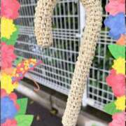 ヒメ日記 2026/04/27 09:11 投稿 じゅん 熟女デリヘル倶楽部