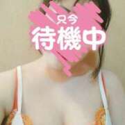 ヒメ日記 2025/04/07 14:53 投稿 めぐみ マーガレット