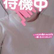 ヒメ日記 2025/04/22 14:15 投稿 めぐみ マーガレット