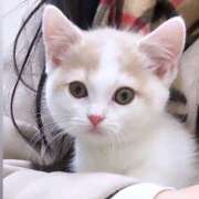 ヒメ日記 2024/12/30 15:49 投稿 まりか 素人妻達☆マイふぇらレディー