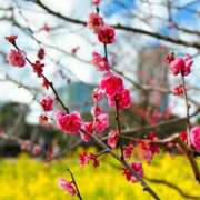 ヒメ日記 2025/02/11 10:02 投稿 まりか 素人妻達☆マイふぇらレディー