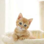 ヒメ日記 2025/05/01 10:14 投稿 まりか 素人妻達☆マイふぇらレディー