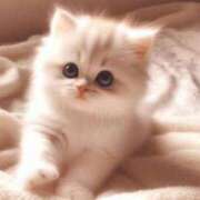 ヒメ日記 2025/05/05 14:13 投稿 まりか 素人妻達☆マイふぇらレディー