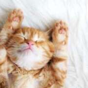 ヒメ日記 2025/05/11 08:13 投稿 まりか 素人妻達☆マイふぇらレディー