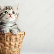 ヒメ日記 2025/05/16 18:15 投稿 まりか 素人妻達☆マイふぇらレディー