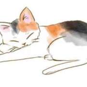 ヒメ日記 2025/05/24 15:11 投稿 まりか 素人妻達☆マイふぇらレディー