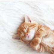 ヒメ日記 2025/05/30 08:15 投稿 まりか 素人妻達☆マイふぇらレディー