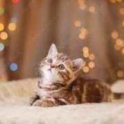 ヒメ日記 2025/06/10 12:30 投稿 まりか 素人妻達☆マイふぇらレディー