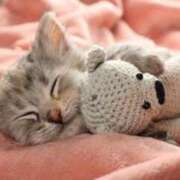 ヒメ日記 2025/06/22 07:00 投稿 まりか 素人妻達☆マイふぇらレディー