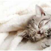 ヒメ日記 2025/07/05 15:02 投稿 まりか 素人妻達☆マイふぇらレディー