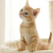 ヒメ日記 2025/07/08 11:30 投稿 まりか 素人妻達☆マイふぇらレディー