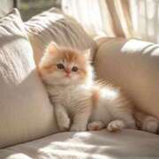 ヒメ日記 2025/07/11 15:35 投稿 まりか 素人妻達☆マイふぇらレディー