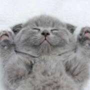 ヒメ日記 2025/07/15 21:30 投稿 まりか 素人妻達☆マイふぇらレディー