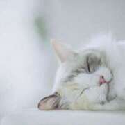 ヒメ日記 2025/07/16 22:45 投稿 まりか 素人妻達☆マイふぇらレディー