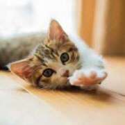 ヒメ日記 2025/07/17 13:15 投稿 まりか 素人妻達☆マイふぇらレディー