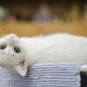 ヒメ日記 2025/07/21 14:01 投稿 まりか 素人妻達☆マイふぇらレディー