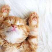 ヒメ日記 2025/07/22 21:02 投稿 まりか 素人妻達☆マイふぇらレディー