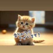 ヒメ日記 2025/07/24 16:19 投稿 まりか 素人妻達☆マイふぇらレディー