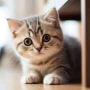 ヒメ日記 2025/07/28 11:12 投稿 まりか 素人妻達☆マイふぇらレディー