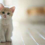 ヒメ日記 2025/07/28 16:10 投稿 まりか 素人妻達☆マイふぇらレディー