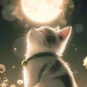 ヒメ日記 2025/07/30 20:31 投稿 まりか 素人妻達☆マイふぇらレディー