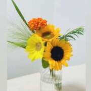 ヒメ日記 2025/07/31 17:35 投稿 まりか 素人妻達☆マイふぇらレディー