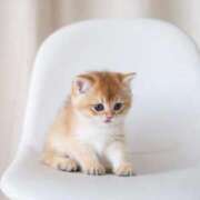 ヒメ日記 2025/08/03 08:01 投稿 まりか 素人妻達☆マイふぇらレディー