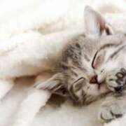 ヒメ日記 2025/08/04 20:02 投稿 まりか 素人妻達☆マイふぇらレディー