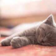 ヒメ日記 2025/08/05 20:01 投稿 まりか 素人妻達☆マイふぇらレディー