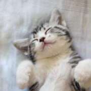 ヒメ日記 2025/08/07 20:01 投稿 まりか 素人妻達☆マイふぇらレディー