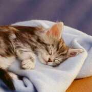 ヒメ日記 2025/08/08 20:01 投稿 まりか 素人妻達☆マイふぇらレディー