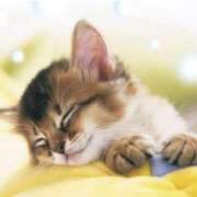 ヒメ日記 2025/08/09 20:15 投稿 まりか 素人妻達☆マイふぇらレディー