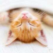 ヒメ日記 2025/08/10 20:01 投稿 まりか 素人妻達☆マイふぇらレディー