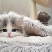 ヒメ日記 2025/08/14 20:01 投稿 まりか 素人妻達☆マイふぇらレディー