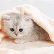 ヒメ日記 2025/08/18 20:01 投稿 まりか 素人妻達☆マイふぇらレディー