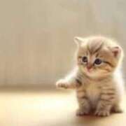 ヒメ日記 2025/08/27 09:30 投稿 まりか 素人妻達☆マイふぇらレディー