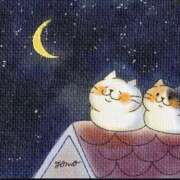 ヒメ日記 2025/08/27 20:31 投稿 まりか 素人妻達☆マイふぇらレディー