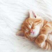 ヒメ日記 2025/08/30 20:30 投稿 まりか 素人妻達☆マイふぇらレディー