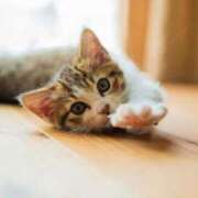 ヒメ日記 2025/09/02 10:03 投稿 まりか 素人妻達☆マイふぇらレディー