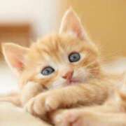 ヒメ日記 2025/09/03 09:30 投稿 まりか 素人妻達☆マイふぇらレディー