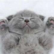 ヒメ日記 2025/09/03 21:01 投稿 まりか 素人妻達☆マイふぇらレディー