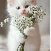 ヒメ日記 2025/09/09 11:30 投稿 まりか 素人妻達☆マイふぇらレディー