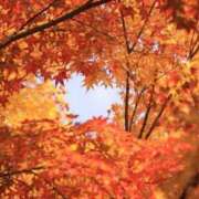 ヒメ日記 2025/09/30 19:30 投稿 まりか 素人妻達☆マイふぇらレディー